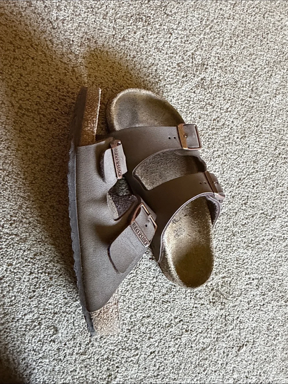 Birkenstock classic kids